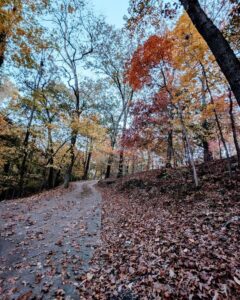 Steep Driveway